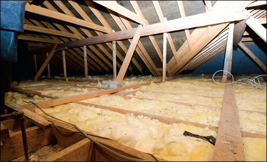 Francis Murray previously installed 100mm of attic insulation. Stephen Harte has advised him to add another 200mm